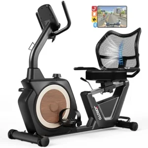 Recumbent Exercise Bike